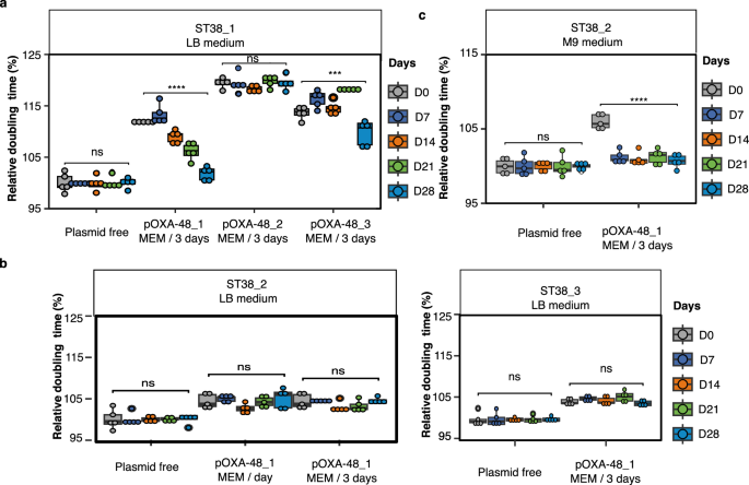 Fig. 3: Experimental evolution of pOXA-48_transconjugants depends on plasmid structure and plasmid-induced fitness cost.