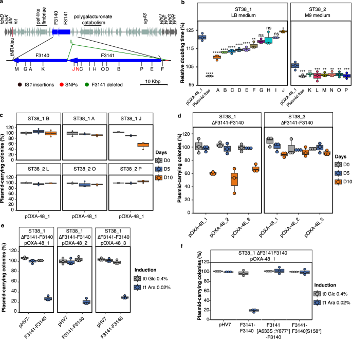Fig. 4: Mutations in the F3141-F3140 operon led to pOXA-48 stabilization.