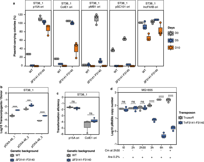 Fig. 5: F3141-F3140 (ApsAB) acts as an antiplasmid system active against low and high copy number plasmids.