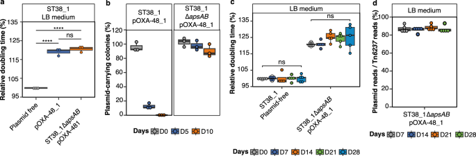 Fig. 6: blaOXA-48 integration and pOXA-48_1 loss require the apsAB operon.