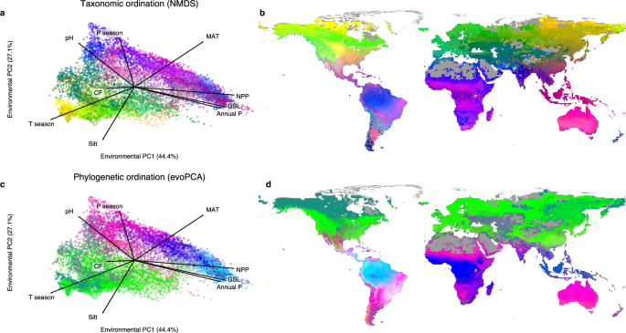 世界の森林における生物多様性の変化を地図化(Scientists map biodiversity changes in the world’s forests)