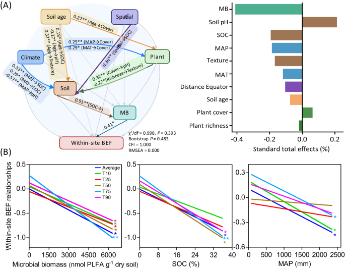 function hypothesis test figure 2