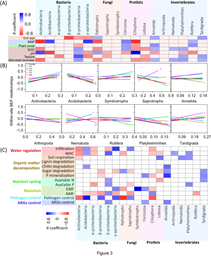 function hypothesis test figure 3