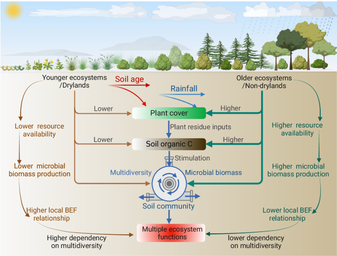 function hypothesis test figure 4