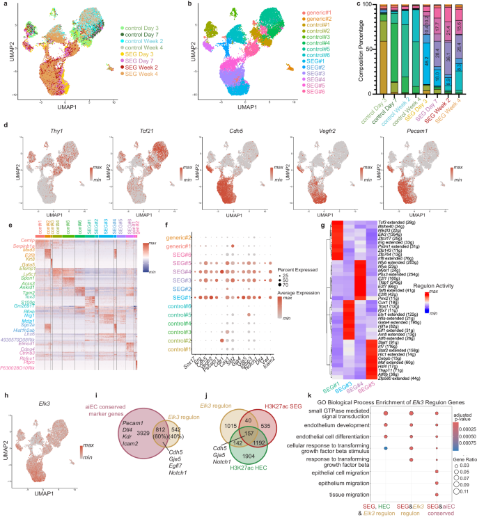 Fig. 6: aiEC heterogeneity changes during reprogramming.