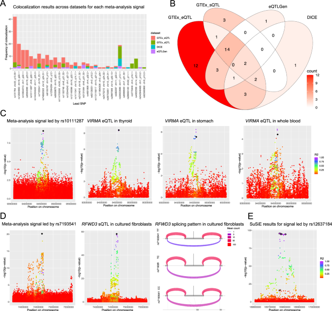 Fig. 2: Fine-mapping analyses nominate putative causal variants and genes affecting telomere length.