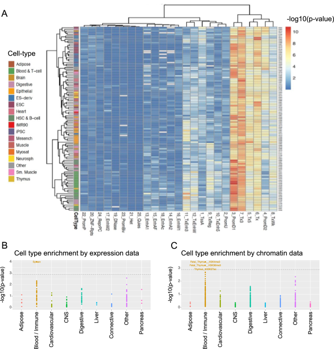 Fig. 5: Blood and immune cells are a key cell type for telomere length.