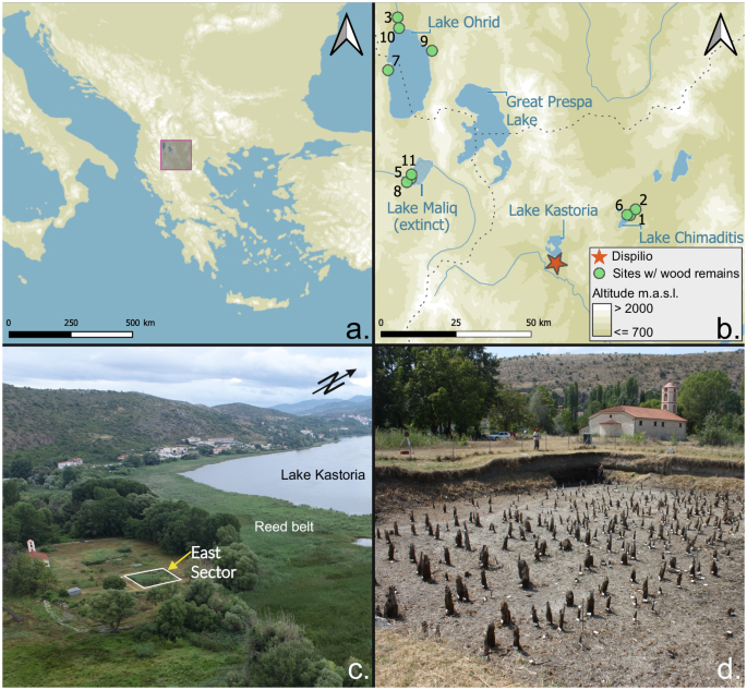 Fig. 1: Location of the archaeological site of Dispilio and detailed view of the trench analysed.