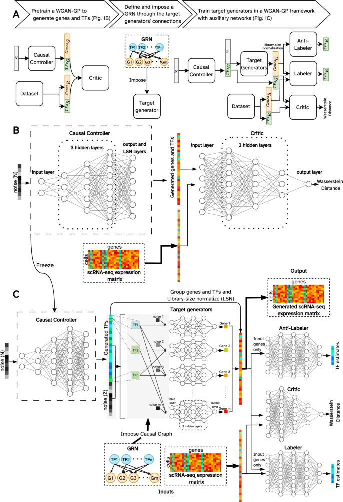 Fig. 1: Architecture and training procedure of GRouNdGAN.
