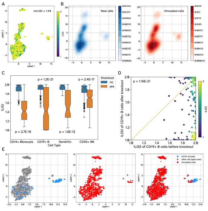 Fig. 6: TF knockout experiments and their effect on cell type generation.