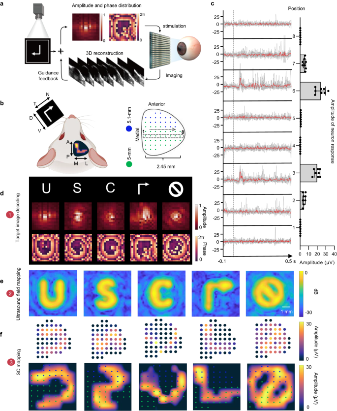 Fig. 3: Visual pattern regeneration using U-RP.