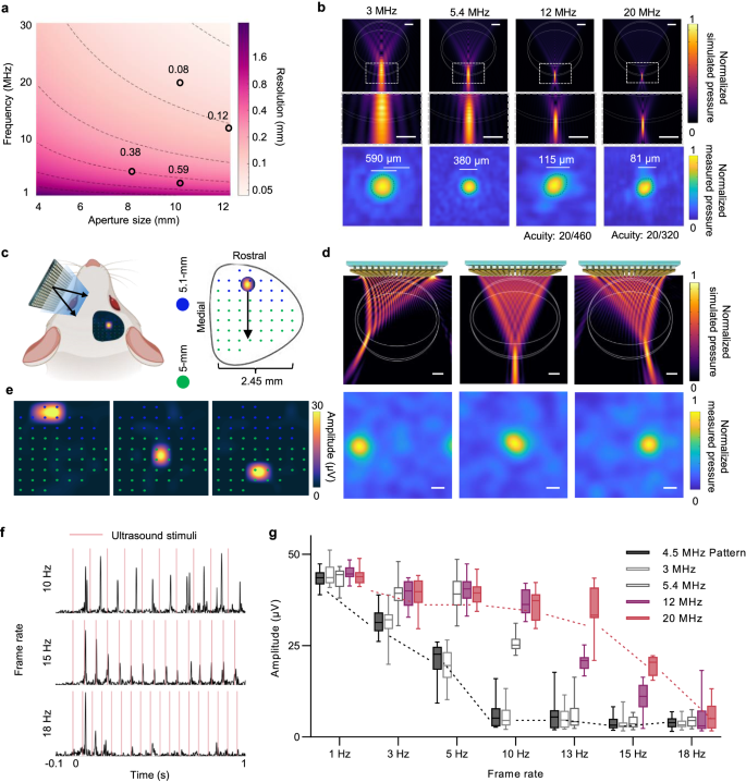 Fig. 4: Frequency-dependent spatial-temporal resolution and efficiency of ultrasound retina stimulation.