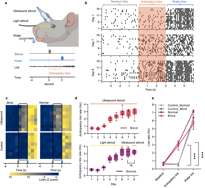 Fig. 5: Behavior response induced by the ultrasound retina stimulation.