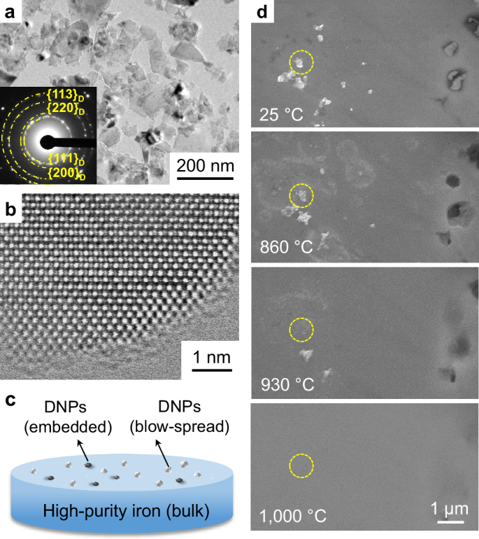 Fig. 1: In situ SEM observation of the sink-in of diamond nanoparticles (DNPs) into iron.