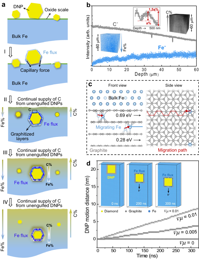 Fig. 4: Mechanism for the inward motion of diamond nanoparticle (DNP) into the iron crystal.