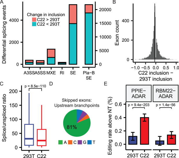 Fig. 5: Dbr1 enhances splicing of cassette exons.