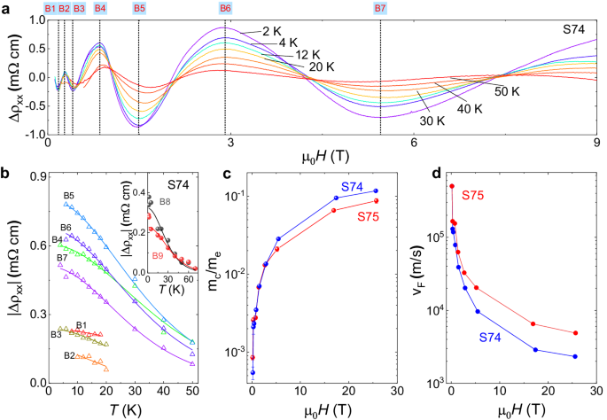 Fig. 4: A topological flat band evidenced by field-induced mass enhancement in ZrTe5.