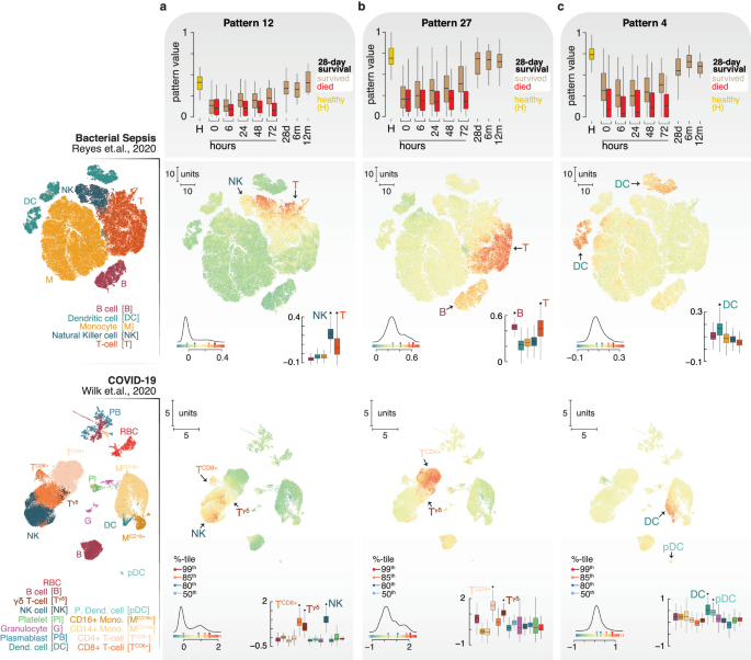 Fig. 3: Cellular phenotypes in sepsis subjects.