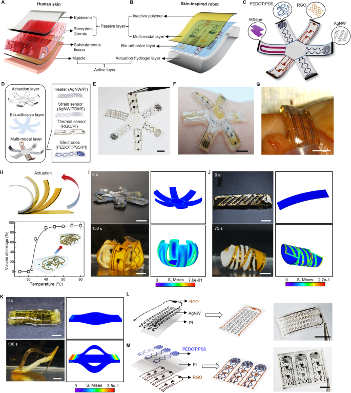 optical communication based research papers figure 2