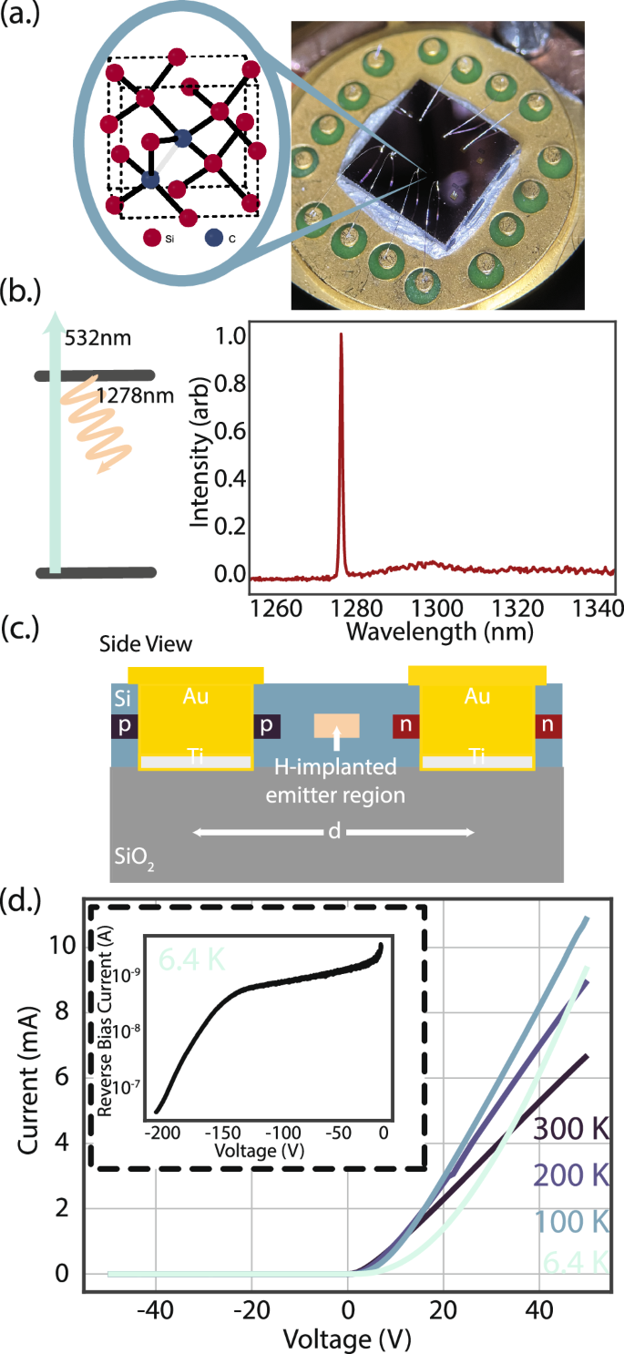 シリコンチップ上の量子世界(A quantum world on a silicon chip)