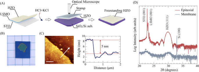 Fig. 2: Fabrication and structural properties of freestanding HZO membranes.