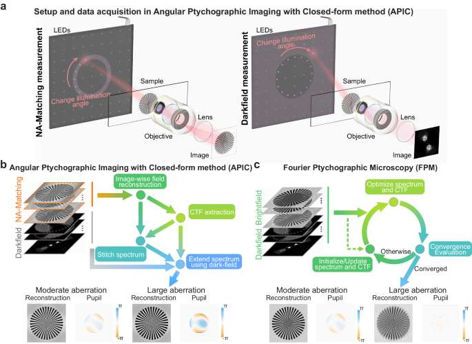 新しい計算顕微鏡技術が鮮明な画像への近道を提供する(New Computational Microscopy Technique Provides More Direct Route to Crisp Images)