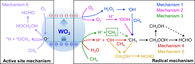 Fig. 1: Multiple reaction pathways of photocatalytic CH4 oxidation to HCHO.
