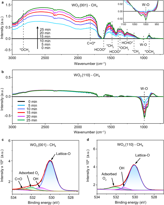 Fig. 4: Investigation on the role of lattice-O in CH4 oxidation.