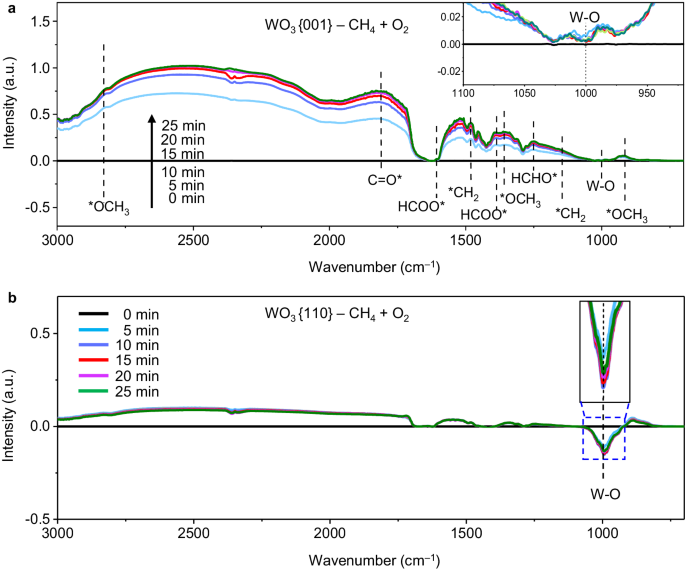 Fig. 5: Investigation on the role of O2 in CH4 oxidation.
