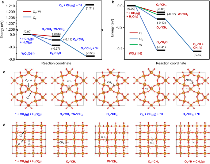 Fig. 6: Elucidation of different CH4 oxidation pathways based on DFT calculation.