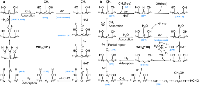 Fig. 8: Proposed reaction mechanism.