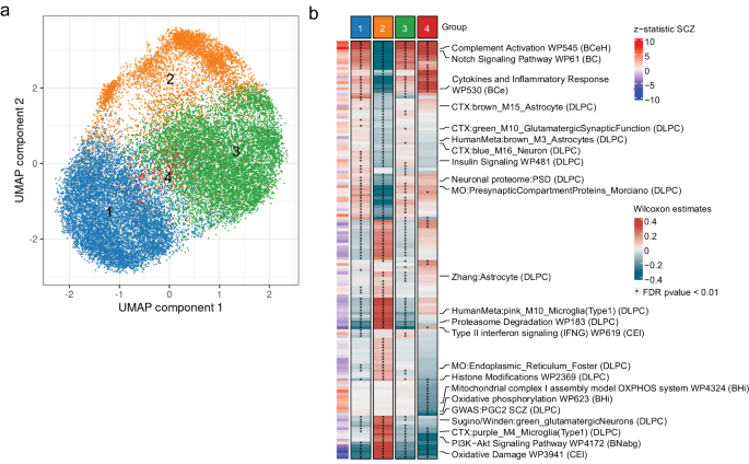 Distinct genetic liability profiles define clinically relevant  