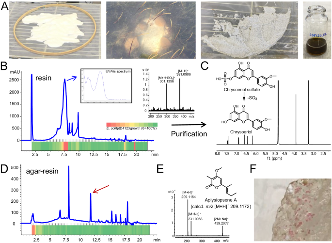 新しい創薬手法で海洋化合物の宝庫を解き明かす可能性(New Drug Discovery Technique May Unlock Trove of Marine Compounds)