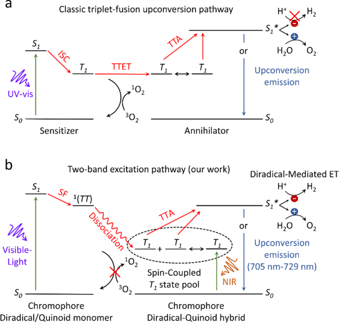 Fig. 1: Schematic comparison between different mechanisms.