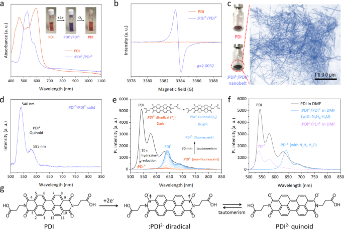 Fig. 2: Characterizations of :PDI2−/PDI2− precursor.