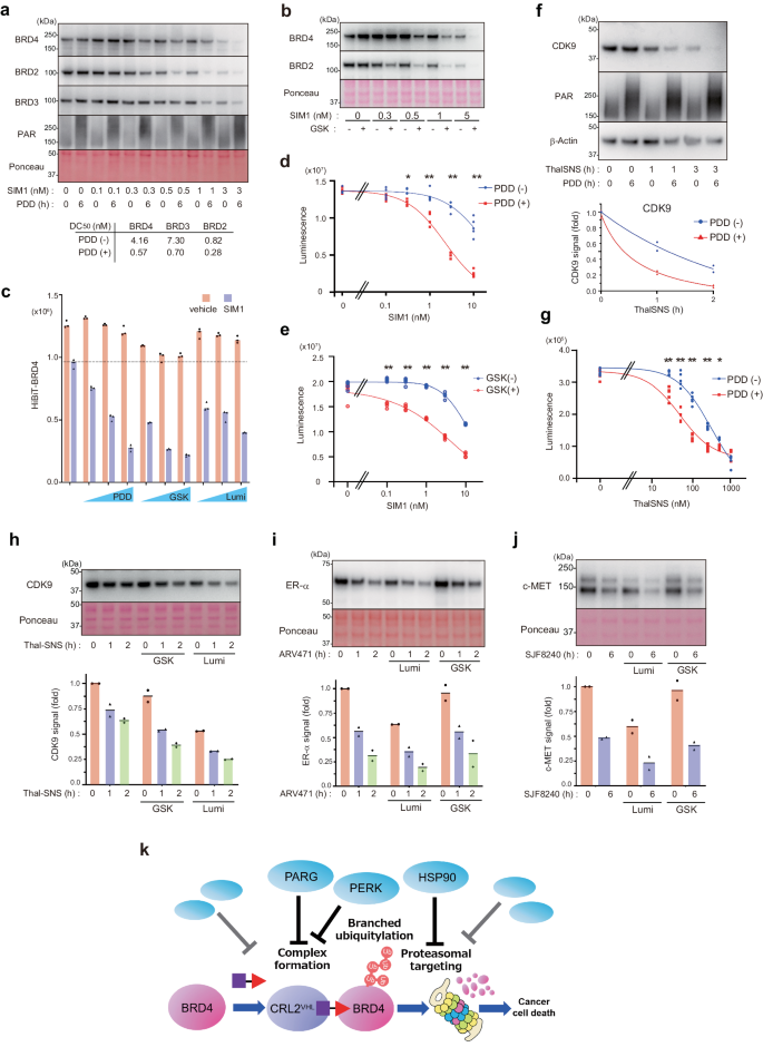 Fig. 6: Application of enhancing targeted protein degradation.