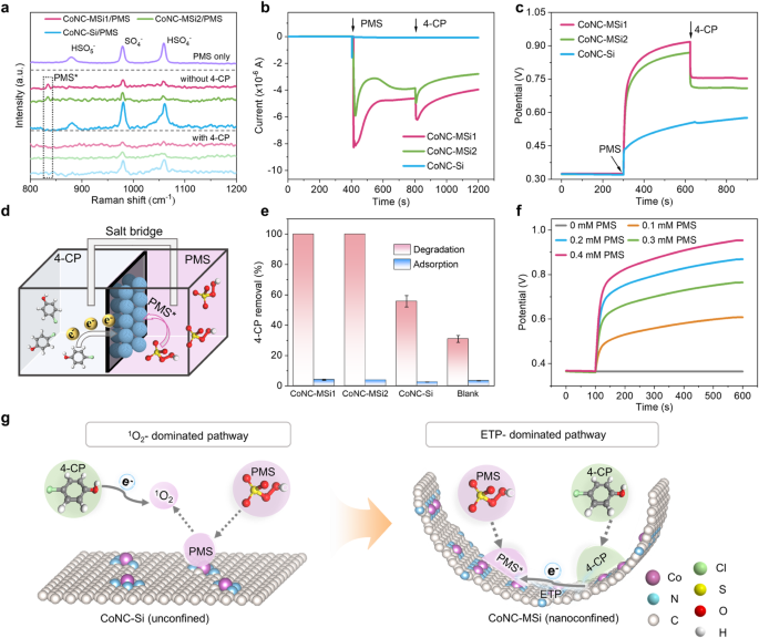 Fig. 4: Mechanistic investigation of nanoconfined Fenton-like catalytic system for decontamination.