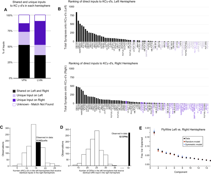 Fig. 6: KCγ-d’s receive a random set of inputs from VPNs and LVINs.