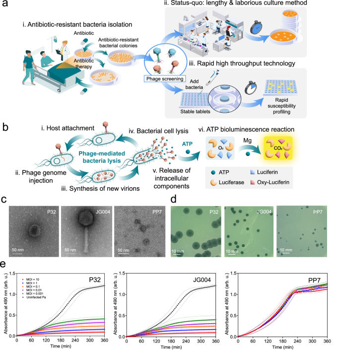 High throughput platform technology for rapid target 