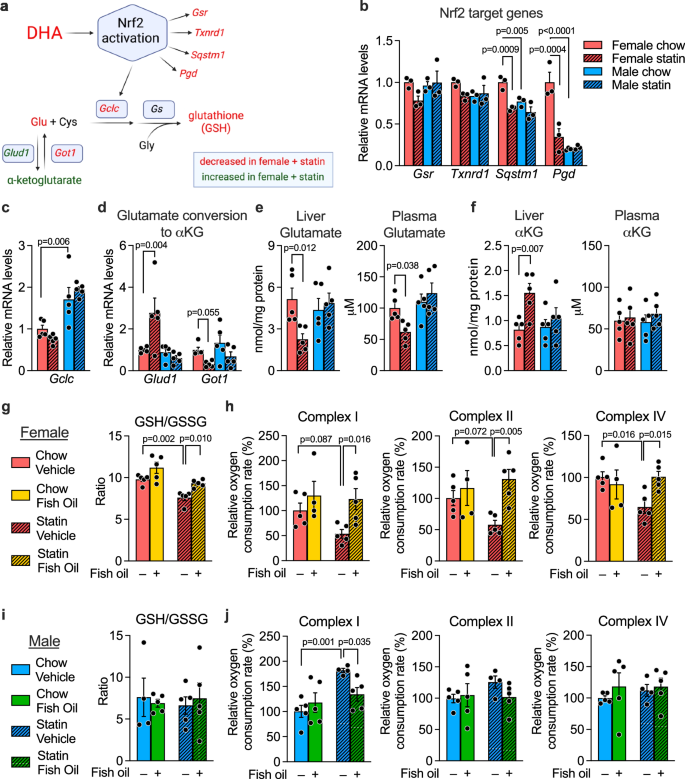 X chromosome dosage drives statin-induced dysglycemia and mitochondrial  dysfunction | Nature Communications