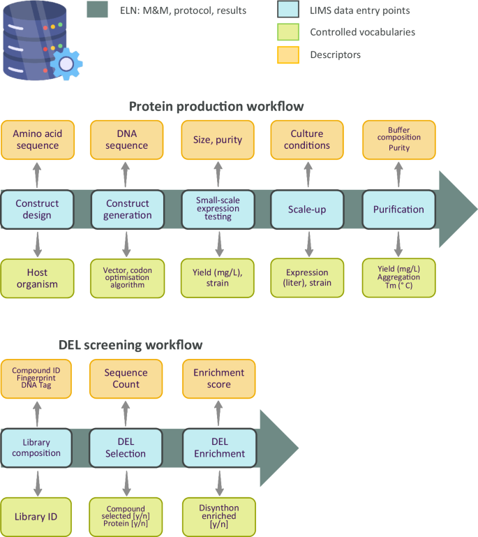 Fig. 1: Data management workflows for protein production and chemical library screening.