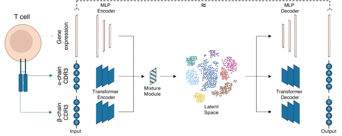 Multi-modal generative modeling for joint analysis of single-cell T cell receptor and gene expression data