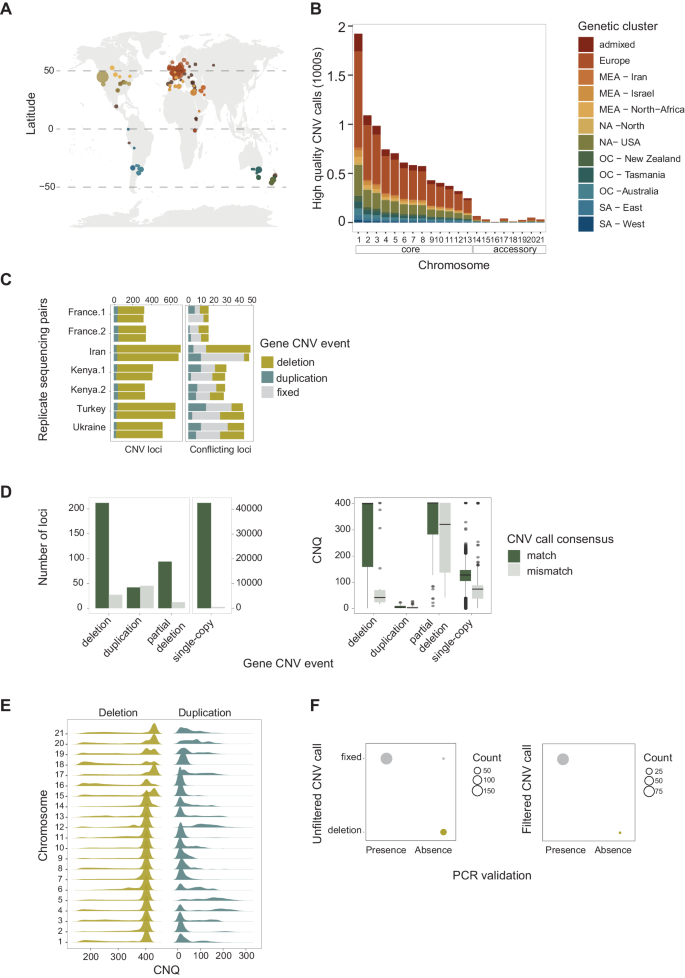 Fig. 1: High-quality gene CNV calls across a thousand-genome panel of the wheat pathogen Zymoseptoria tritici.