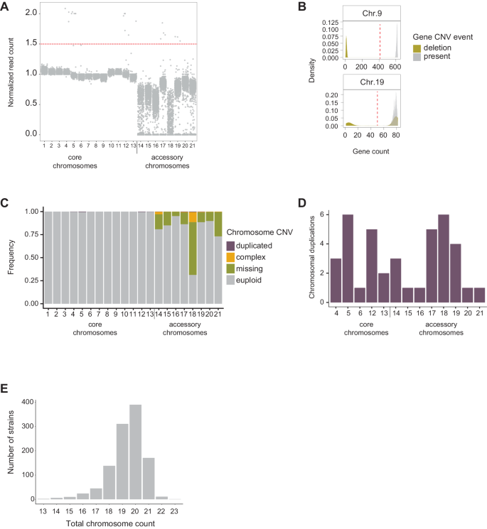 Fig. 2: Global survey of CNVs.