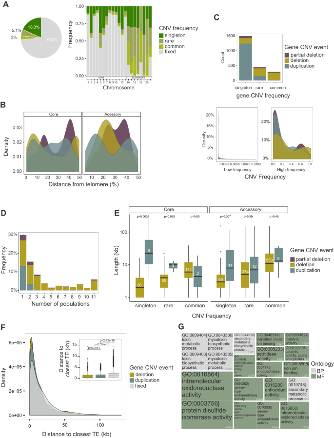 Fig. 3: Population genetic features of gene CNVs.