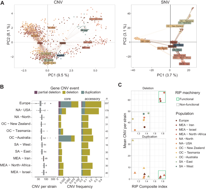 Fig. 4: Global copy-number polymorphism population structure.
