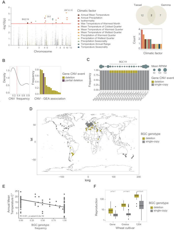 Fig. 6: CNV contribution to environmental range adaptation.