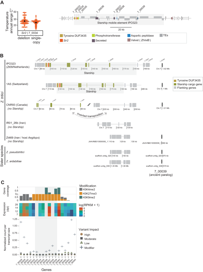 Fig. 7: Starship mobile element associated with thermal adaptation.