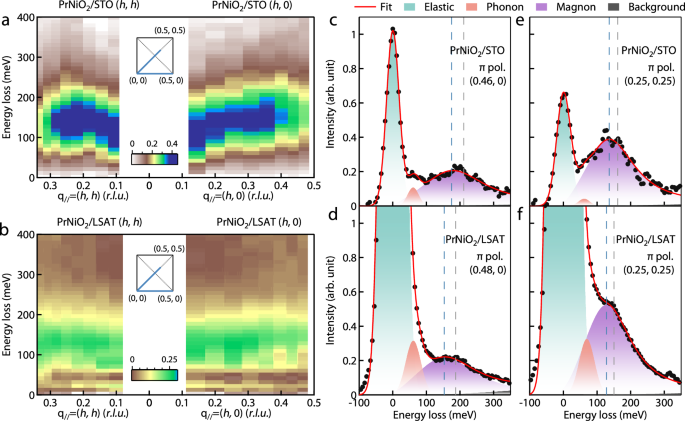 Fig. 3: Dispersion of the magnetic excitations in PrNiO2.