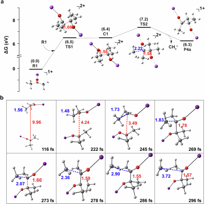 Fig. 6: Results of stationary point and ab initio molecular dynamics calculations that support the carbon chain elongation process.